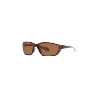 Kodiak Tortoise Brown