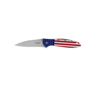 Leek American Flag