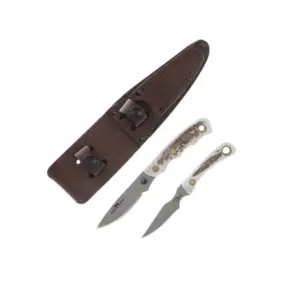 Stag Alpha Wold D2 Cub Combo
