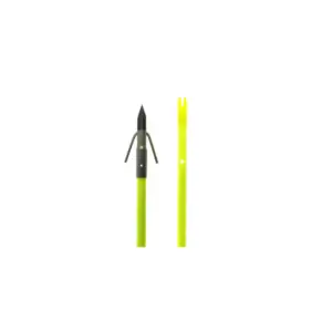 Chart Fish Arrow Gar Point Chart