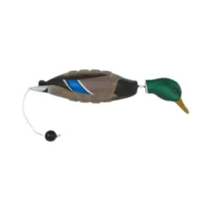 AVR 02011 GRN WING TEAL EZ BIRD