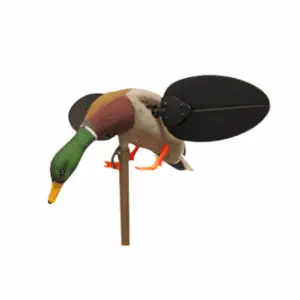 Mojo Mallard